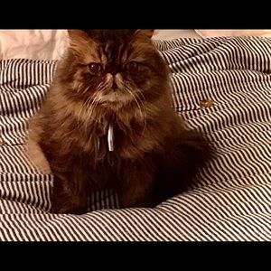 Meet your Posher, Maria